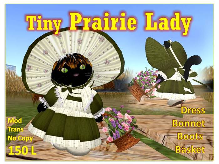 Tiny Prairie Lady 