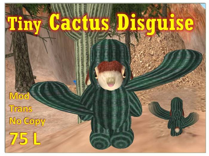 Tiny Cactus Disguise 