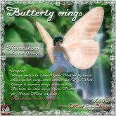 Butterfly wings Himeshiro - Carrot Orange