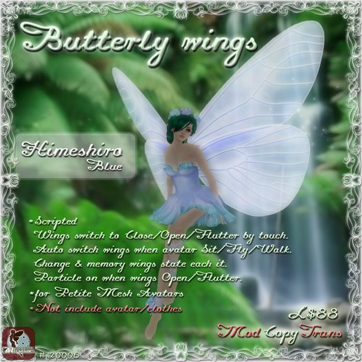 Butterfly wings Himeshiro - Blue