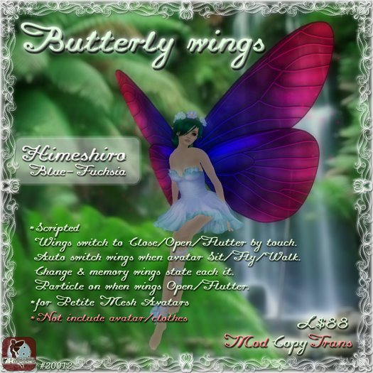 Butterfly wings Himeshiro - Blue Fuchsia