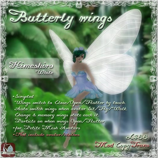 Butterfly wings Himeshiro White