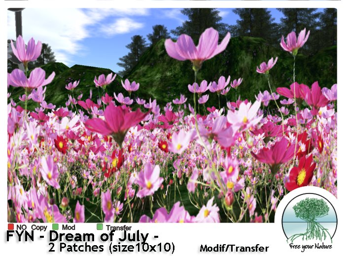 FYN  - Dream of July -