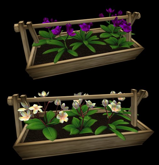 Plumeria Planter Color 26