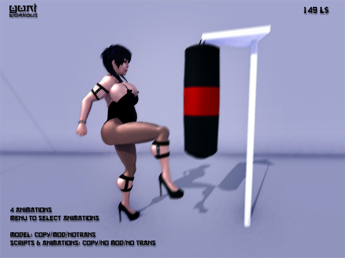 YuNi Sandbag Box / Gym Workout Equipment