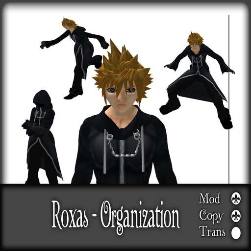 bloody Tear -Roxas Organization