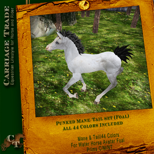 @CT@ Punked Manes & Tails (Foal)