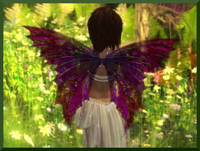[CANDYFAE PINK]  WINGS