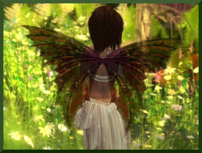 [CANDYFAE GOLD]  WINGS
