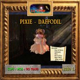 Lil Verse - Pixie Daffodil