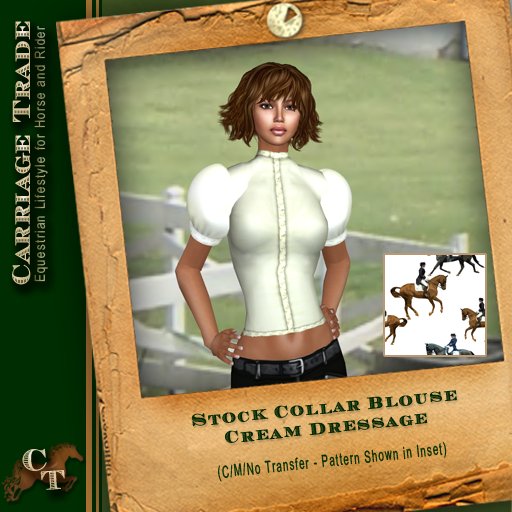 @CT@ Ladies' Stock Collar with Optional Puff SleevesCr/Dress