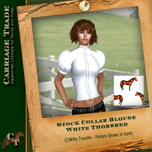 @CT@ Ladies' Stock Collar with Optional Puff SleevesWh/TB