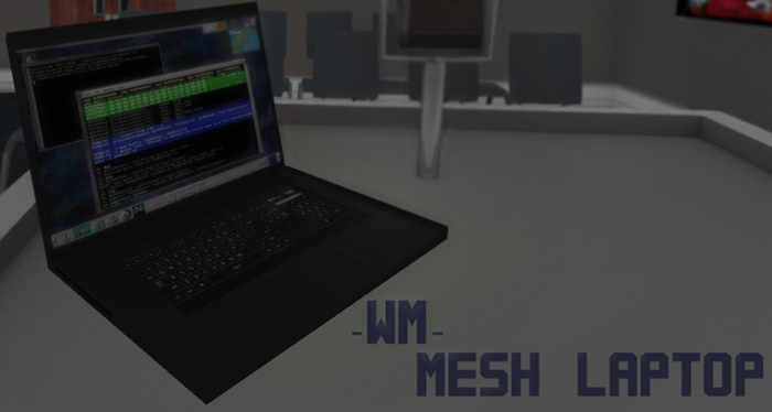 -WM- Mesh Laptop
