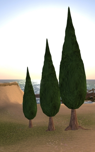 Cypress trees set