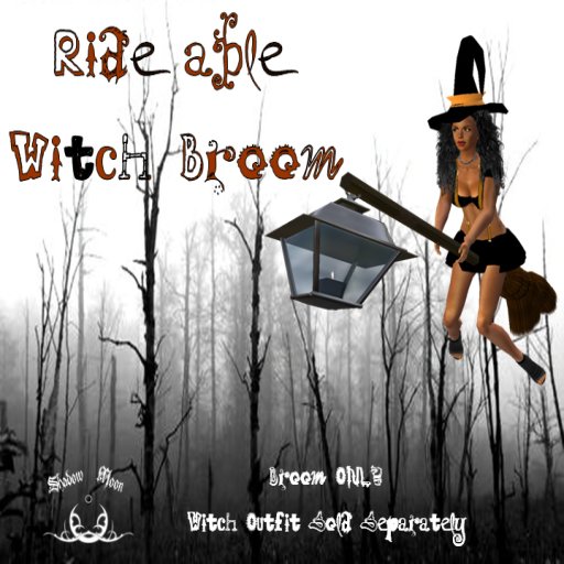 Rideable Witch Broom