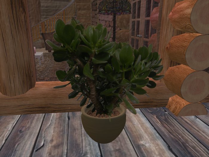 Potted money tree - Low prim 