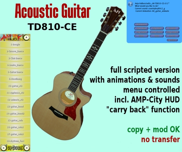 Acoustic Guitar TD810-CE