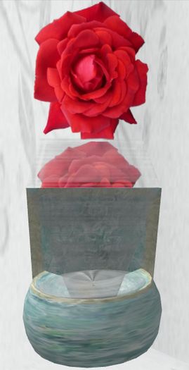 Reflections Water Dream