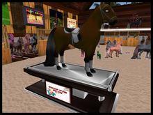 :::IDJ::: Deluxe Single Horse Display Stand (MESH v2 Now Available)