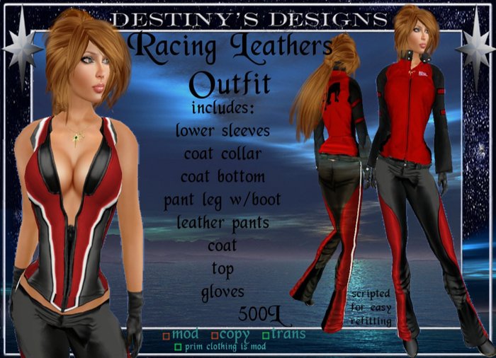 !~DD~! Leather Racing Outfit - Ladies