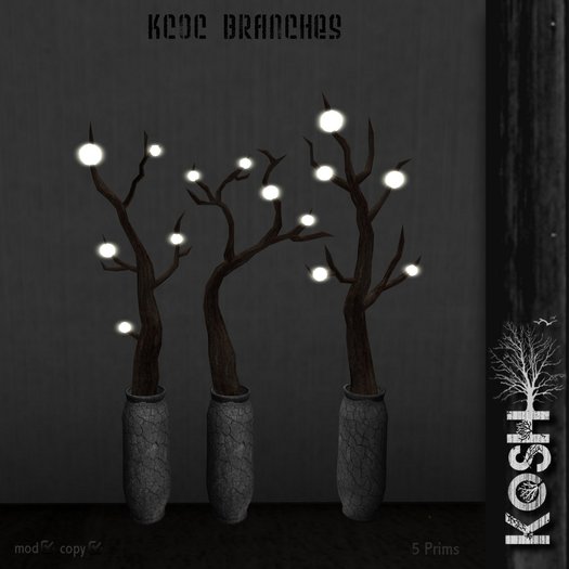 KOSH-  KCOC BRANCHES