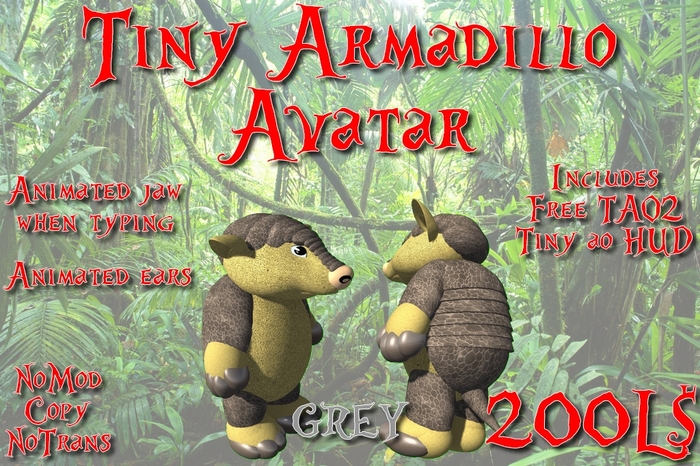 Tiny Grey Armadillo