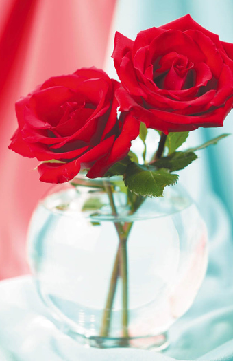 Love Greeting Card