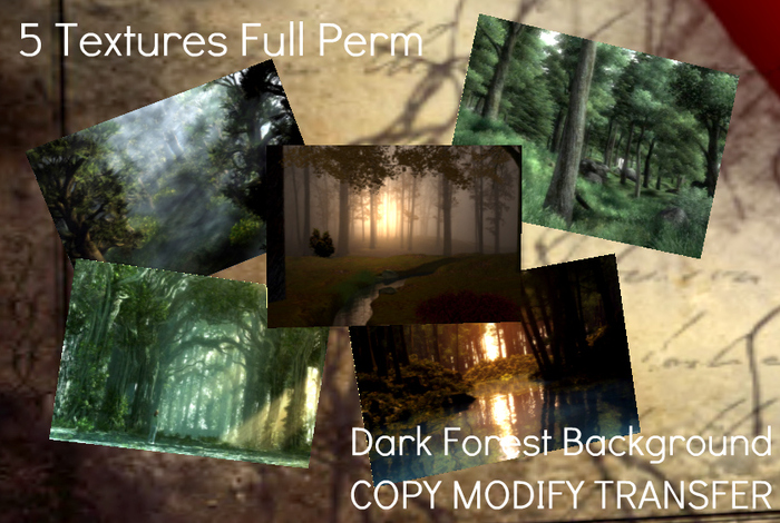 ~Alira~ Background Dark Forest