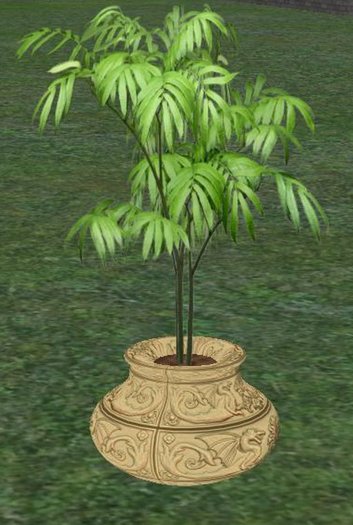 Tall Potted Palm Plant