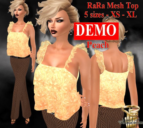 HOUSE OF BENINGBOROUGH -  RaRa Mesh Top - PEACH - DEMO