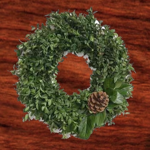 Holiday Wreath w/Cone