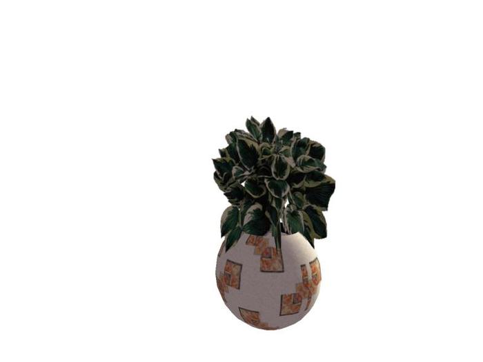 Oscas Potted Shrub