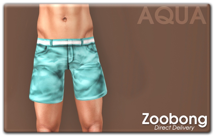 !ZB: Edah Shorts [Aqua]