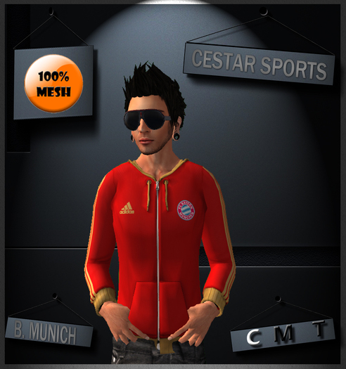 .::CESTAR - Hoody Munchen::. Mesh