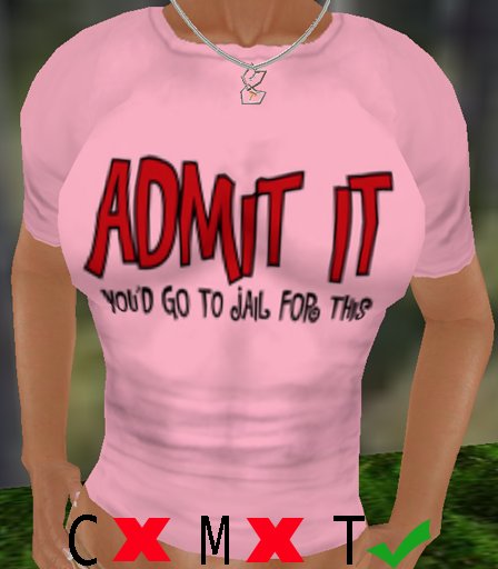 admit jail