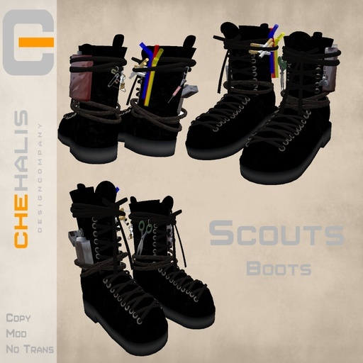 Chehalis Scouts boots