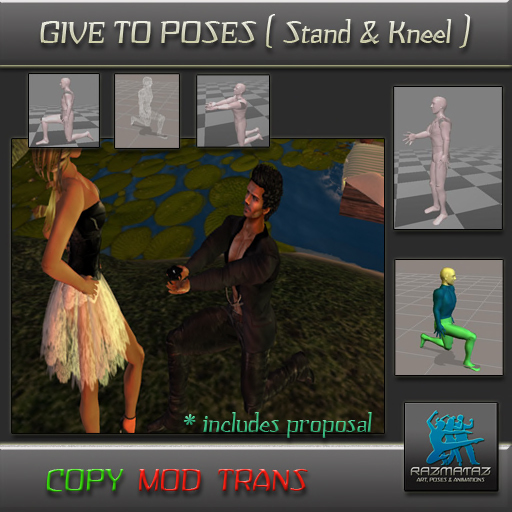 Kneel Give Propose to Animated Poses