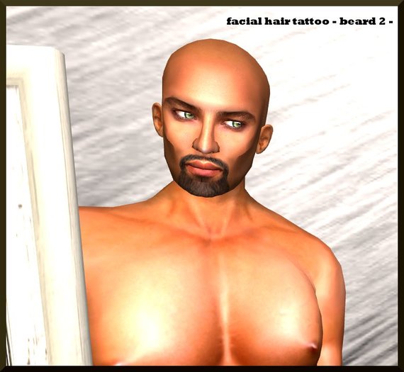 Facial Hair Tattoo - beard - 2