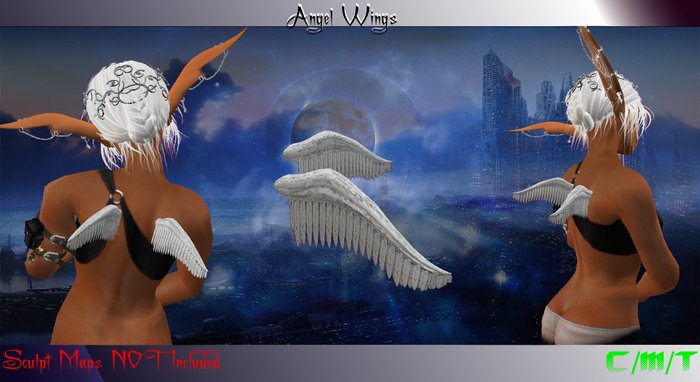 EVO - Angel Wings Boxed