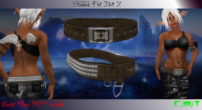EVO - Studded Flat Belt 2 Boxed