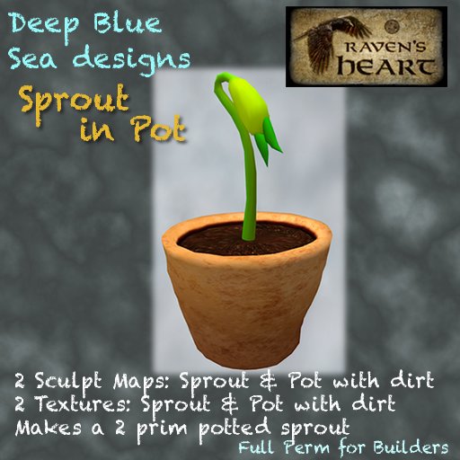 *RH* & DBS sprout in pot (crated) 