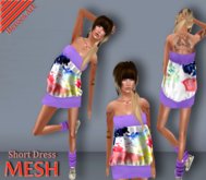 Heroes Art.- Woman Mesh Dress Pencil 1