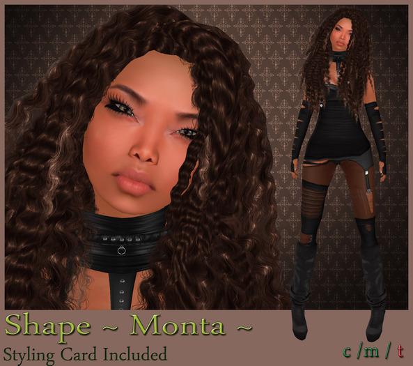  ~ SHAPE MONTA ~