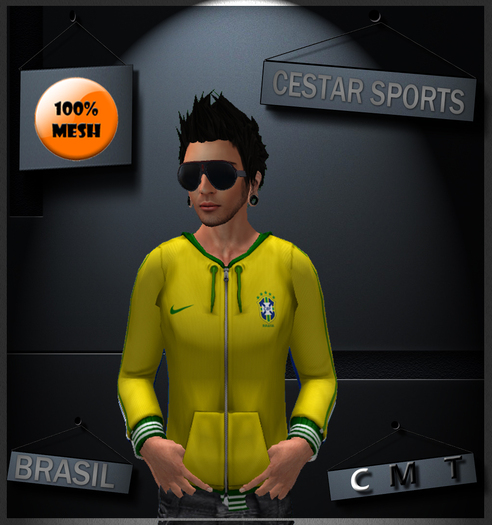 .::CESTAR - Hoody Brasil::. Mesh