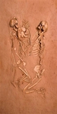 Triple Skeleton Grave