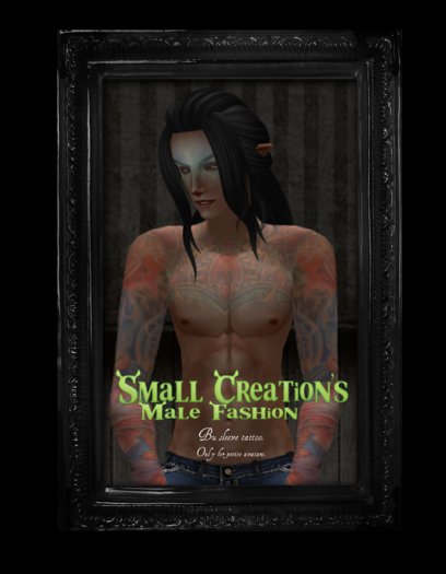 <Small>Bu sleeve tattoo