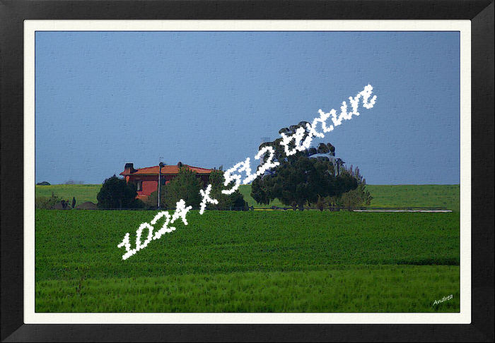 Tuscany fields (Italy) 