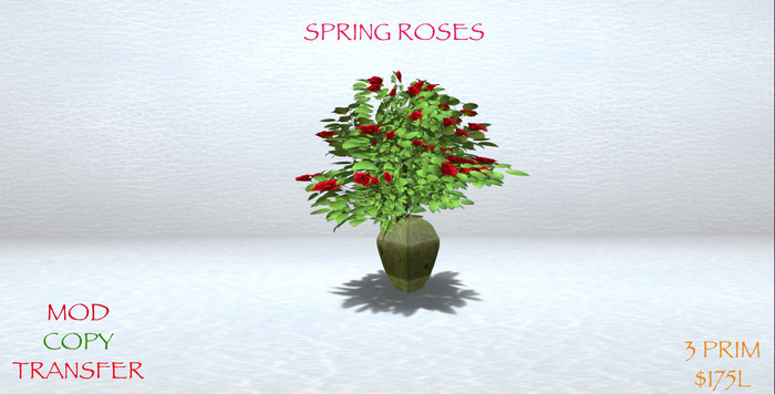 SPRING ROSE BUSH IN VASE 2012