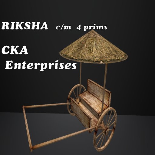 RIKSHA 51 DD