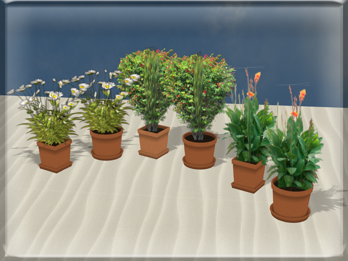 ::BnB:: plant set terra cotta